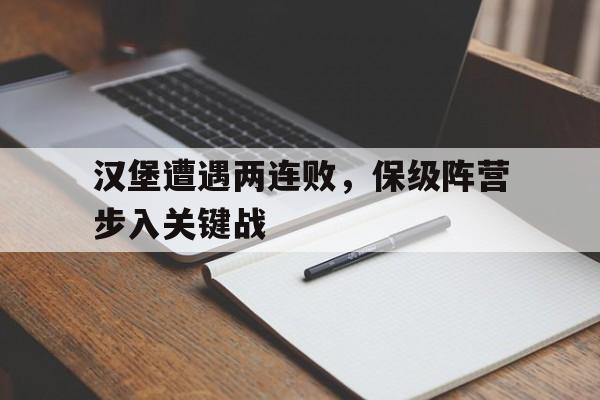 开云体育在线-汉堡遭遇两连败，保级阵营步入关键战的简单介绍