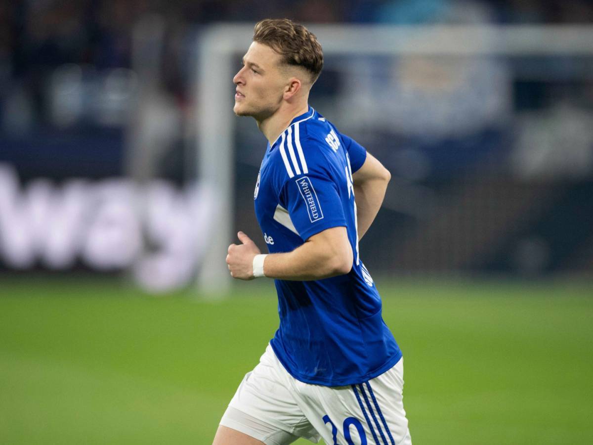 沙尔克主场失利，战绩下滑不容乐观的简单介绍